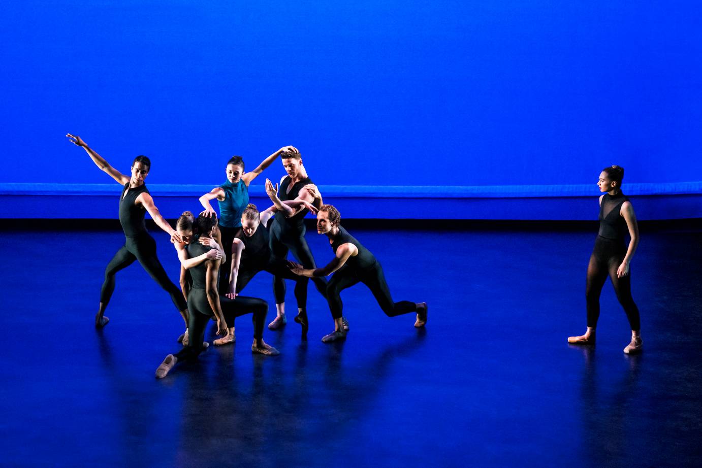 Against an electric blue cyclorama, dancers form an intricate clump as one looks on